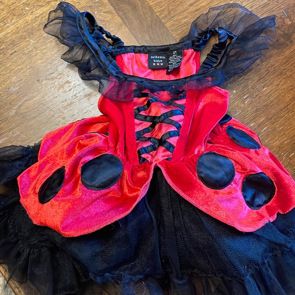 Girls ladybug costume